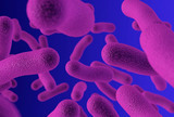 Bakterijski biofilmovi ponašaju se poput embrija