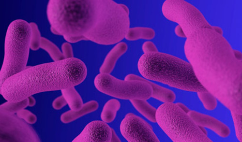 Latentna tuberkulozna infekcija Latentna tuberkulozna infekcija