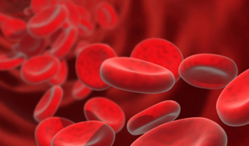 Svjetski dan darivatelja krvi, 14. 6. Svjetski dan darivatelja krvi, 14. 6.