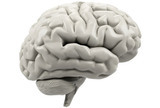 Bolesti i poremećaji funkcije malog mozga