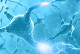 Metformin pomaže u obnovi neurona