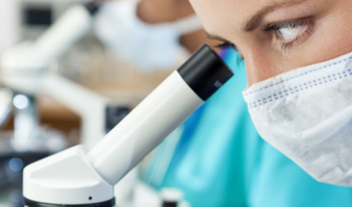 Raspadanje i entomološka kolonizacija pougljenjenih tijela – pilot istraživanje Raspadanje i entomološka kolonizacija pougljenjenih tijela – pilot istraživanje