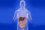 Nove spoznaje o nealkoholnoj masnoj bolesti jetre - etologija i dijagnostika