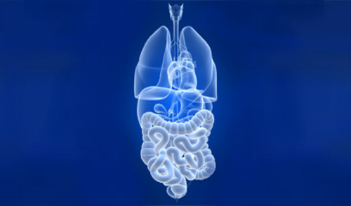 Povećan rizik za razvoj Crohnove bolesti i ulceroznog kolitisa kod bivših pušača