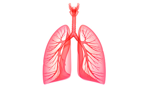 Funkcionalni plućni testovi u dijagnostici bolesti dišnog sustava