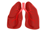 Zaduha i akutna respiratorna insuficijencija – uloga natriuretskih peptida