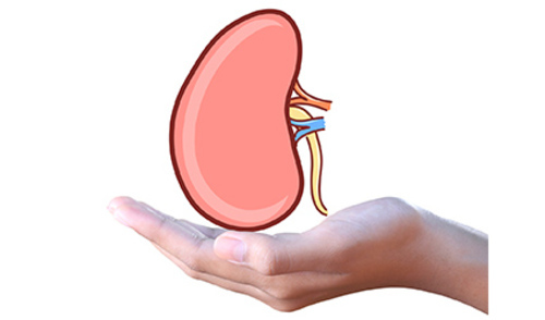 Tribina: Hipertenzija u bolesnika s kroničnom bubrežnom bolesti