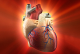 Nuklearna medicina u dijagnostici amiloidoze srca