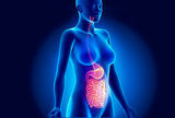 Primjena probiotika kod sindroma iritabilnog crijeva 