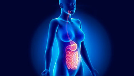 Primjena probiotika kod sindroma iritabilnog crijeva 