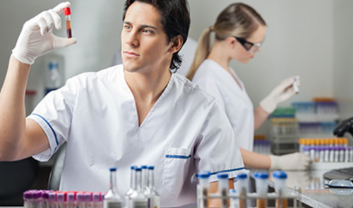 ANCA vaskulitisi  ANCA vaskulitisi