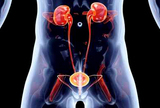 Zatajenje bubrega zbog opstrukcije uvećanom prostatom - prikaz bolesnika