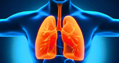 HZZO utvrdio nove postupke za provođenje probira za rano otkrivanje raka pluća