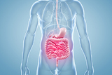 Suvremeni značaj crijevne mikrobiote u digestivnoj medicini