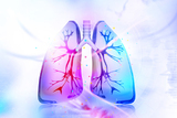 Kako laktobacili i biljni ekstrakti mogu pomoći astmatičarima?
