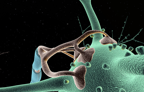 Mogu li stanični glasnici predvidjeti uspjeh terapije depresije? Mogu li stanični glasnici predvidjeti uspjeh terapije depresije?