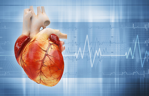 Omega-3 indeks u procjeni rizika od kardiovaskularnih bolesti