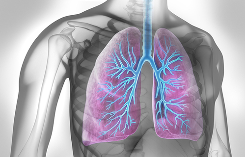 Utjecaj respiratorne fizioterapije kod bolesnika oboljelih od astme 