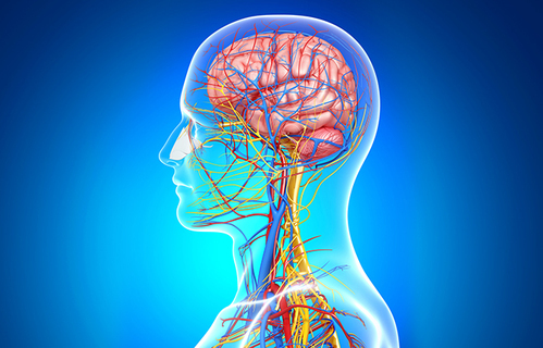 Zatvaranjem otvorenog foramena ovale smanjuje se rizik ponavljanja moždanog udar