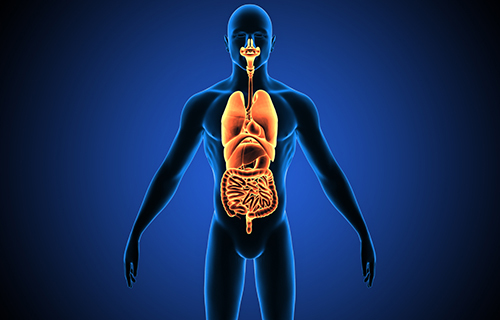 Kontinuirana metoda bubrežnoga nadomjesnog liječenja i anabolički steroidi Kontinuirana metoda bubrežnoga nadomjesnog liječenja i anabolički steroidi