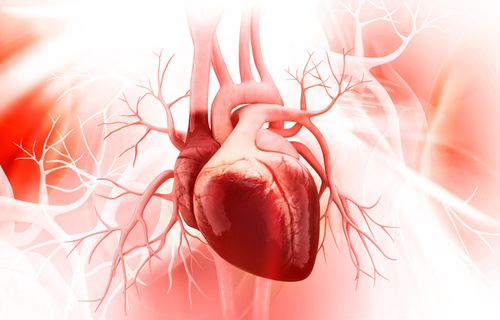 Dijabetička kardiomiopatija 