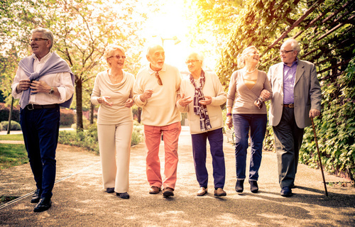 Farmakoterapija u Alzheimerovoj bolesti