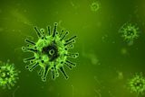 COVID-19: šiljak protein koronavirusa ima dodatnu ulogu u razvoju bolesti