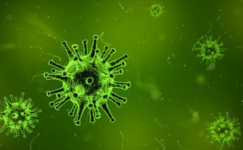 COVID-19: šiljak protein koronavirusa ima dodatnu ulogu u razvoju bolesti