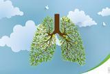 Danas, 25. 9. obilježava se Svjetski dan pluća
